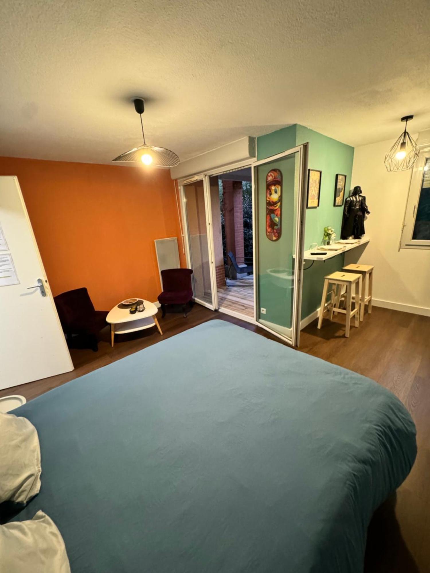 Appartamento Le Loft Geek Tolosa Esterno foto