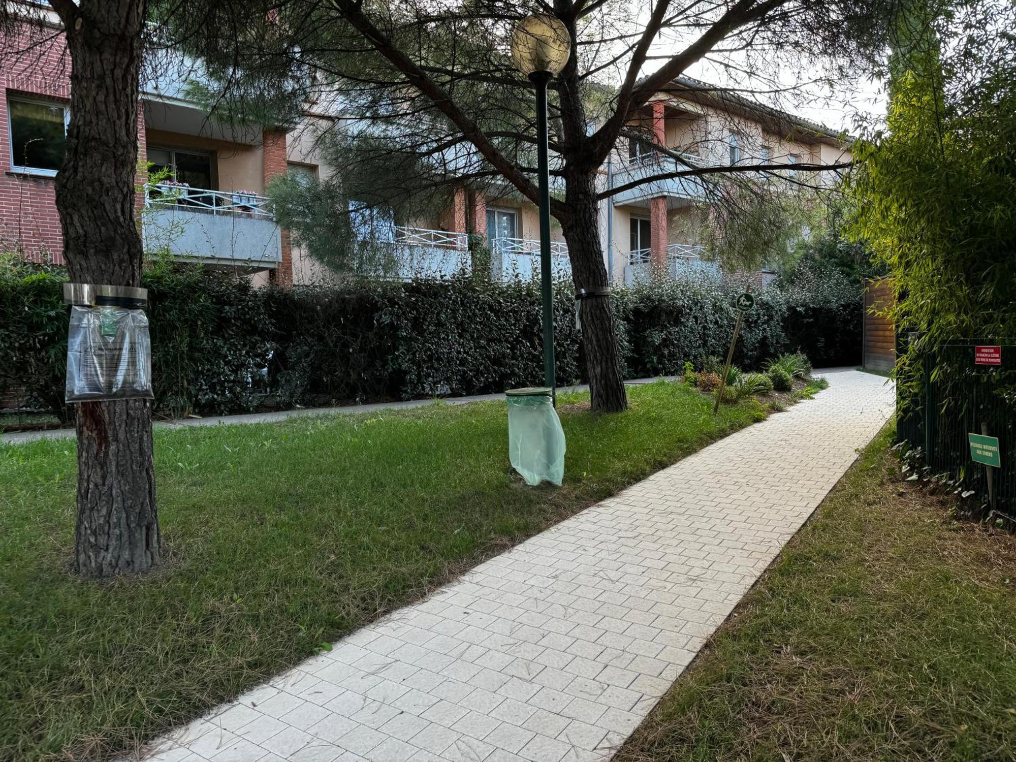 Appartamento Le Loft Geek Tolosa Esterno foto